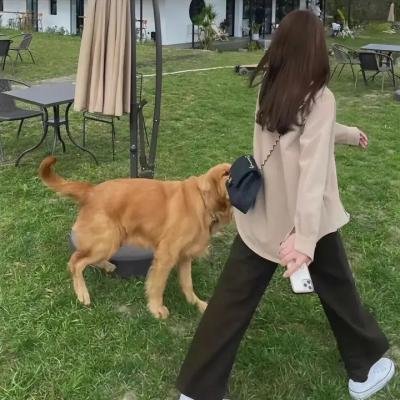 吸血鬼仆人剧场版